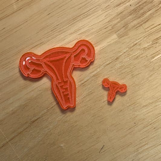 Uterus Blank Blank